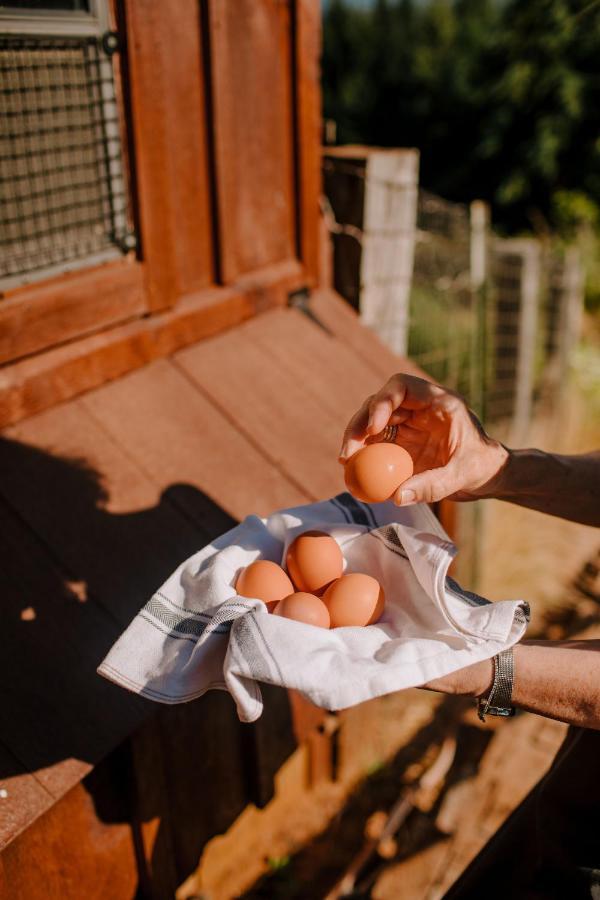 Sakura Ridge The Farm & Lodge Hood River Exterior foto